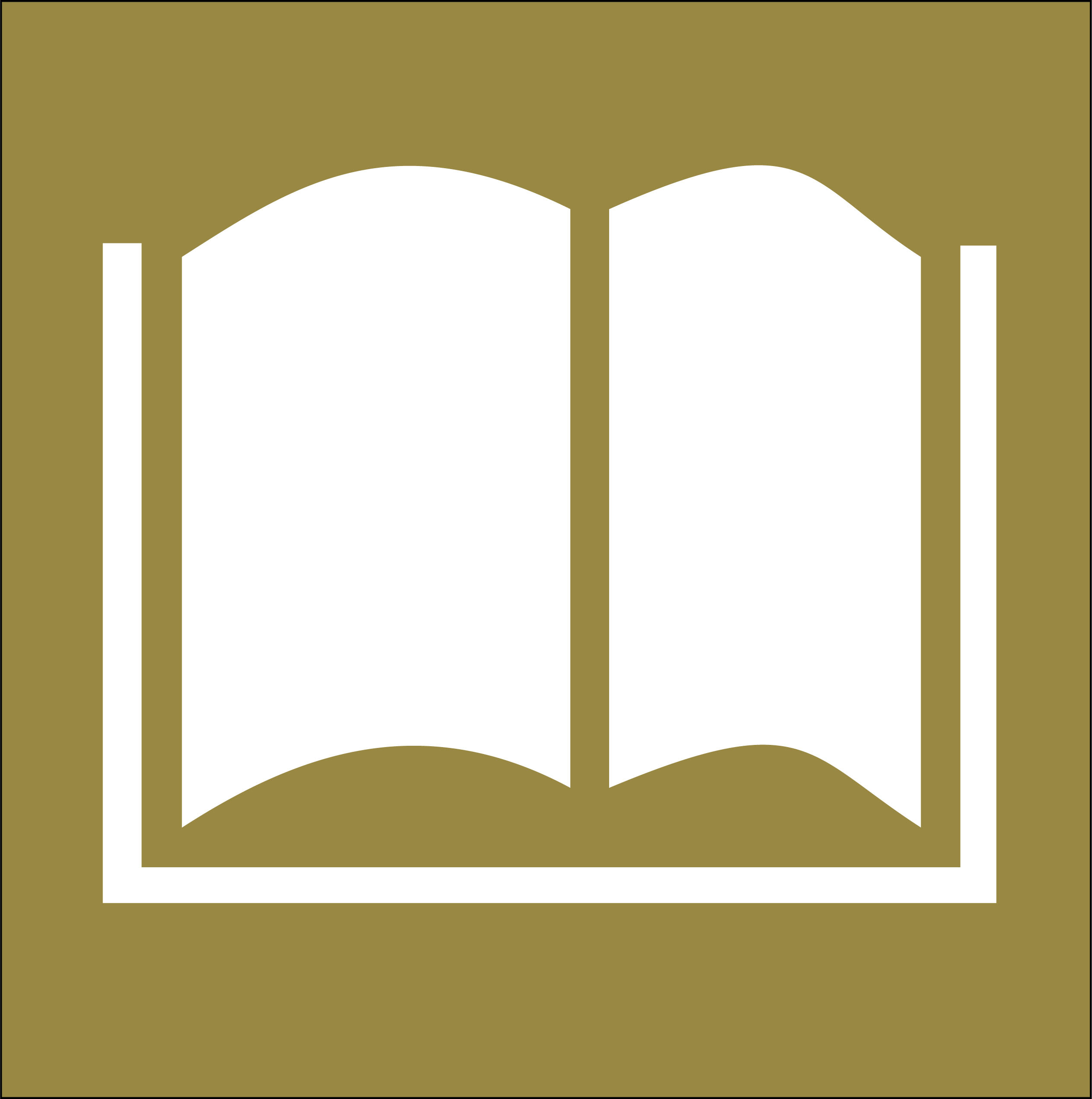 Book icon