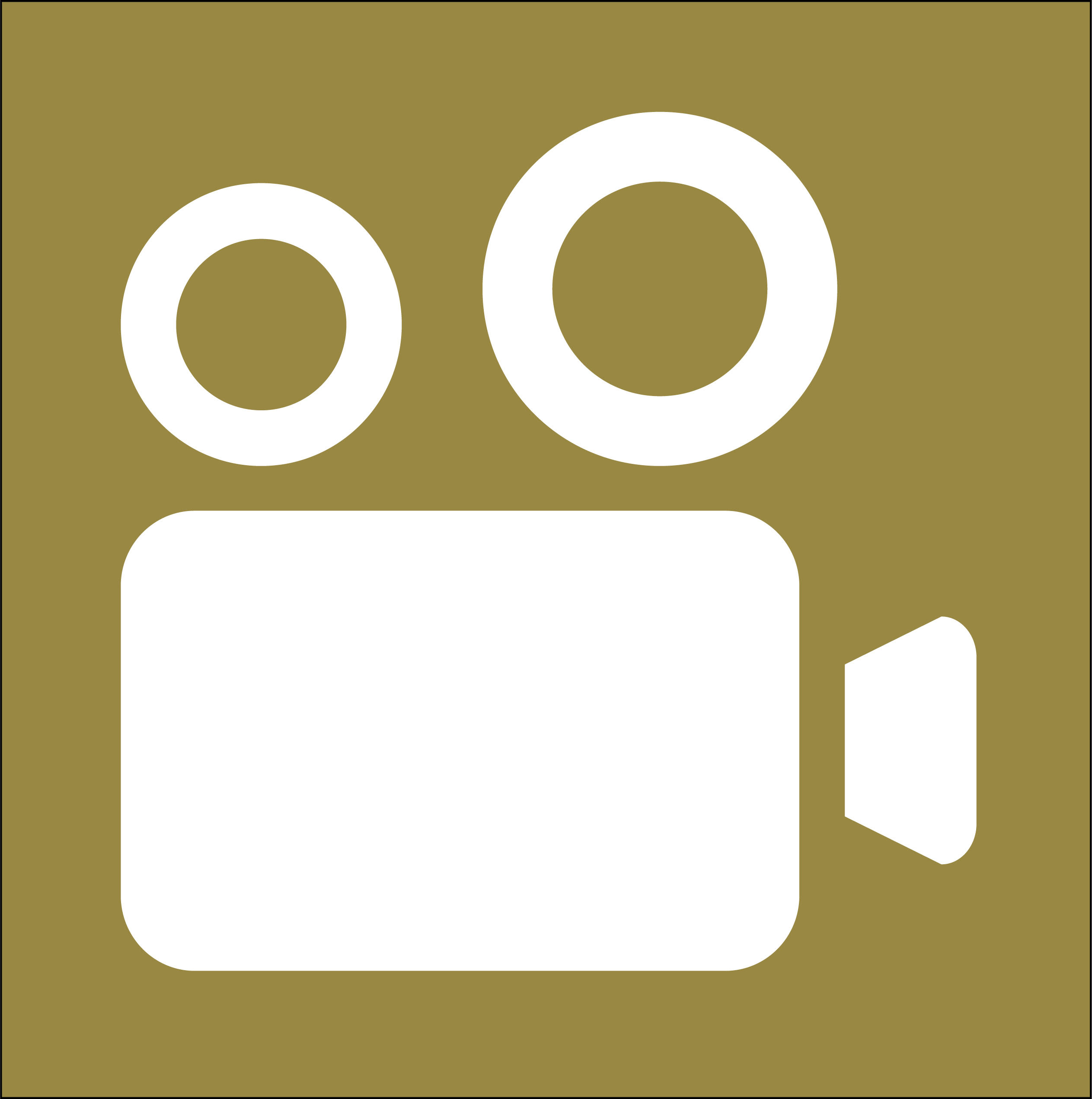 Video icon