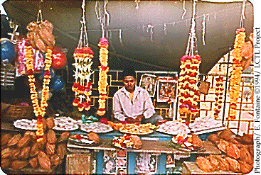 shopkeeper